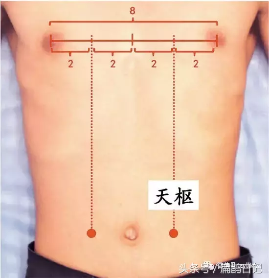 人体穴位大全——天枢穴：促进肠道蠕动、增强胃动力，便秘、腹胀