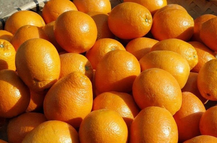 每天一个橙子，身体会获得什么好处？有3大好处，你明白吗？