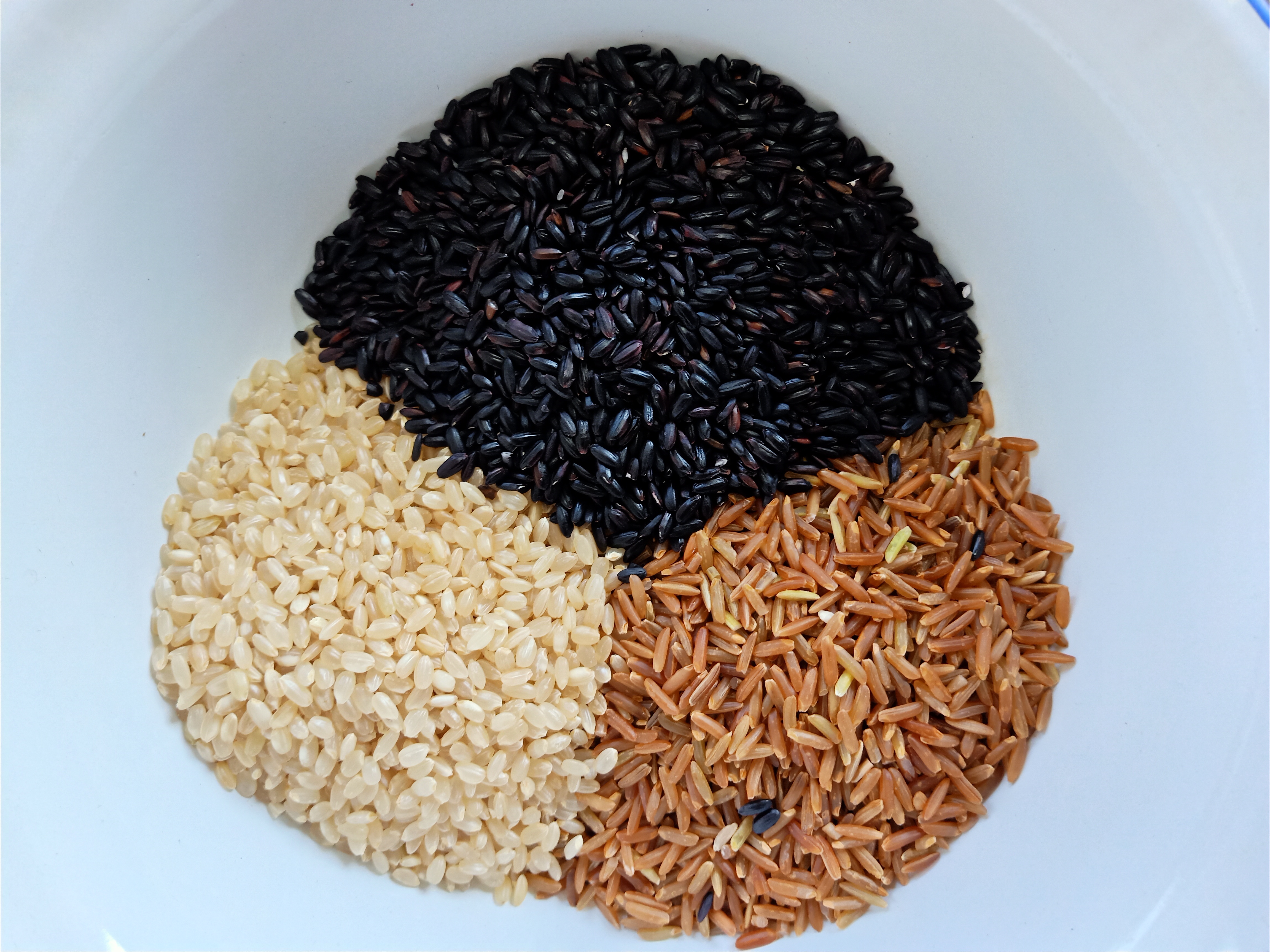 三色糙米饭营养比米饭高，为什么能减肥？应该怎么煮才正确？