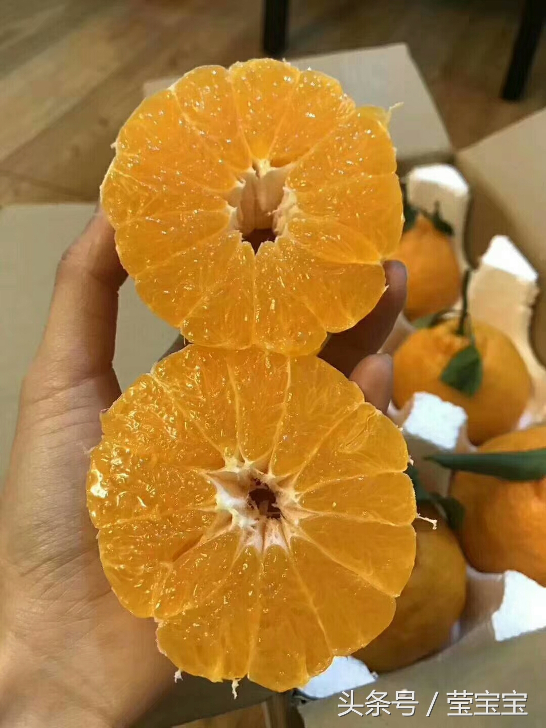 直击：丑橘虽然很好吃，但是专家给出这些功效，你都了解过吗