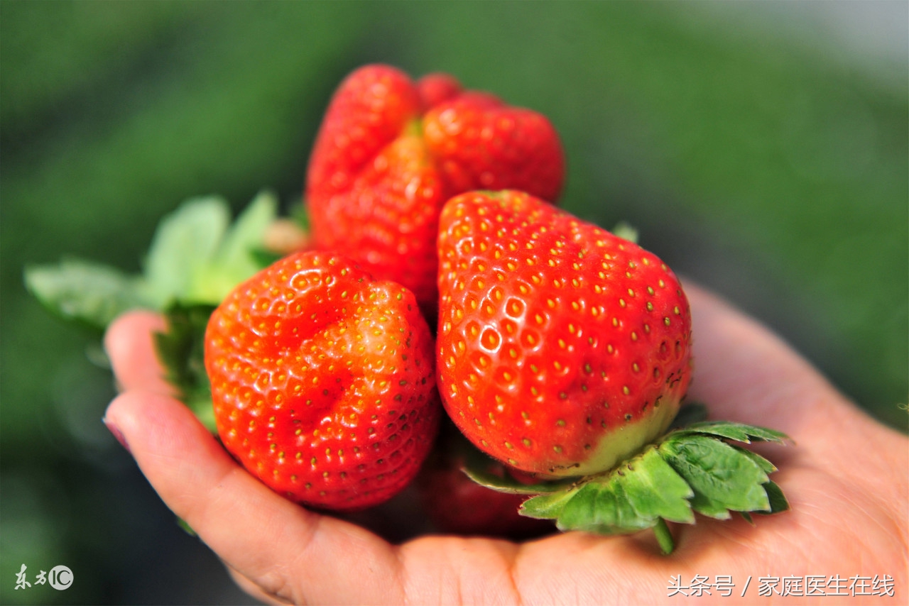 医生分享4种专为糖尿病人准备的水果，有你喜欢的吗？