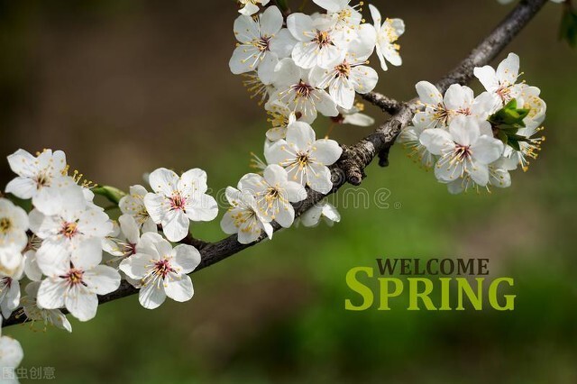 温暖四月唯美句子，描写关于春天春风春雨的精美文案