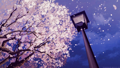 “今夜月色真美”30句适合跨年表白的日语情话