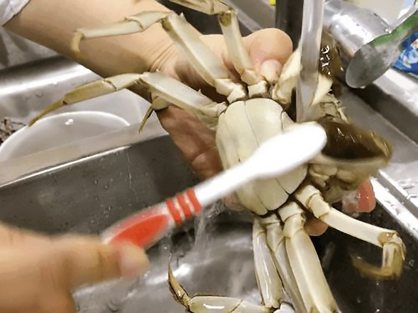 这才是清蒸螃蟹的正确做法，不流黄，不掉腿，比饭店虾肉还鲜嫩