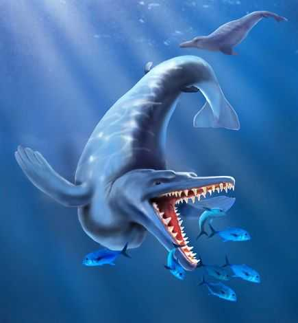 鲸鱼不是鱼而是哺乳动物，其祖先竟和羊差不多，如何成了庞然大物