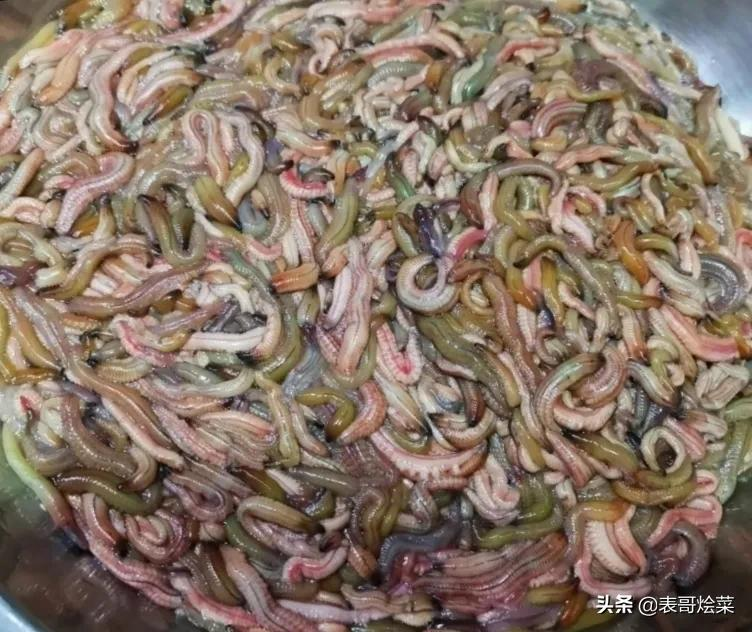 网友评出“最恐怖”3道广东美食，忍了蚯蚓，毒蝎子不能忍