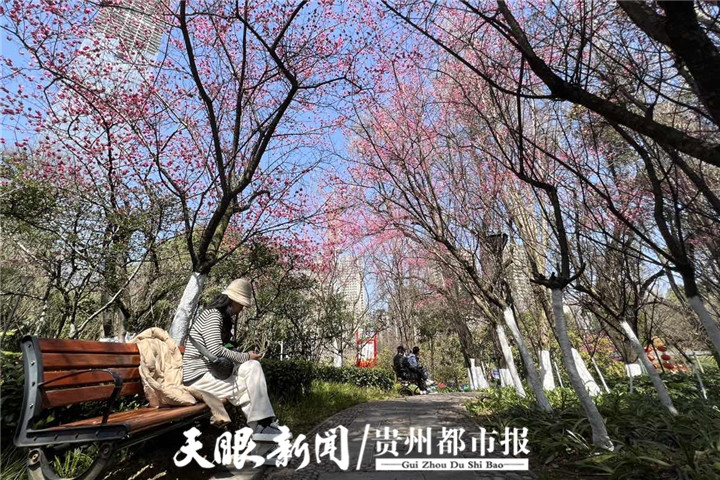 贵阳河滨公园花开了，游客赏花好热闹