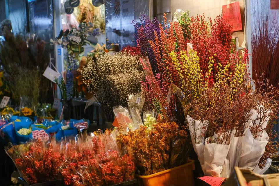 荔湾｜今年也有“天光墟”！岭南花卉市场年花攻略来啦