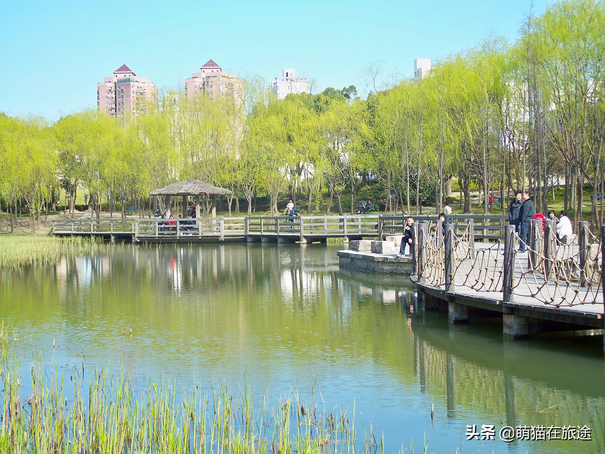 上海十大魅力景区之一：大宁灵石公园
