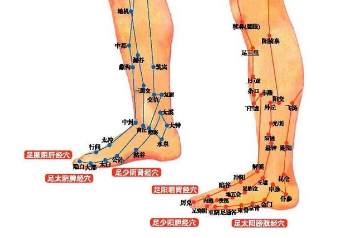脚部经络图清晰（如何能够快速理解并牢记足部的经脉呢？）