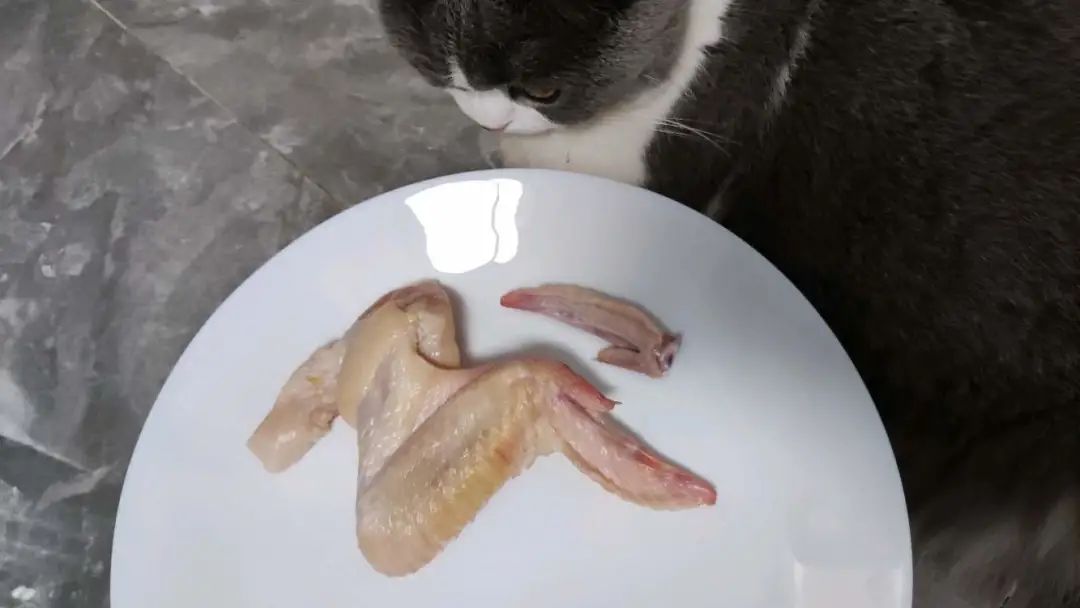 猫能吃鸡骨头吗为什么，千万不要给猫吃这种骨头
