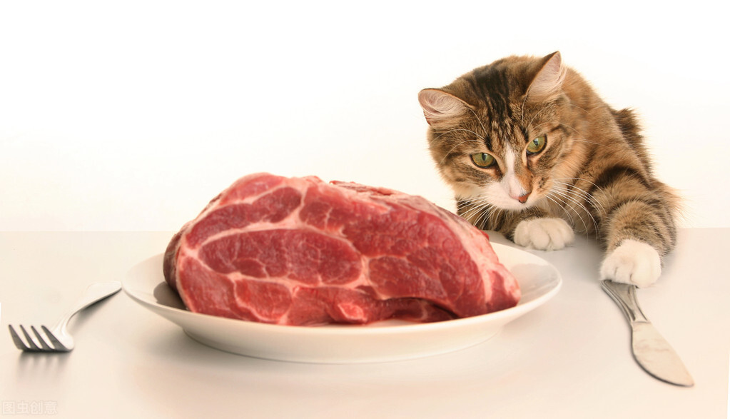 猫能吃羊肉吗，羊肉虽好，猫吃多了会增加消化器官的负担，猫能吃羊肉吗