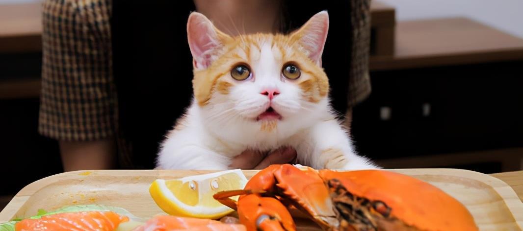 猫吃猪肉吗怎么做，猫咪能吃的5种肉和不能吃的3种肉，你知道吗？
