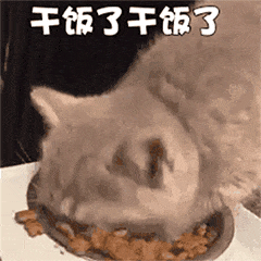 猫可以吃红薯吗熟的，这6种食物，是猫咪的最爱，你知道吗？