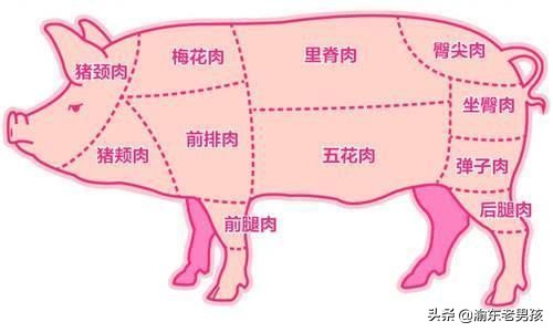二刀肉是哪个部位(头条王刚做四川回锅肉用的"二刀肉"到底是什么肉？)