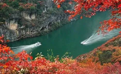 秋天重庆周边哪里好玩 ？重庆周边16处红叶欣赏地推荐