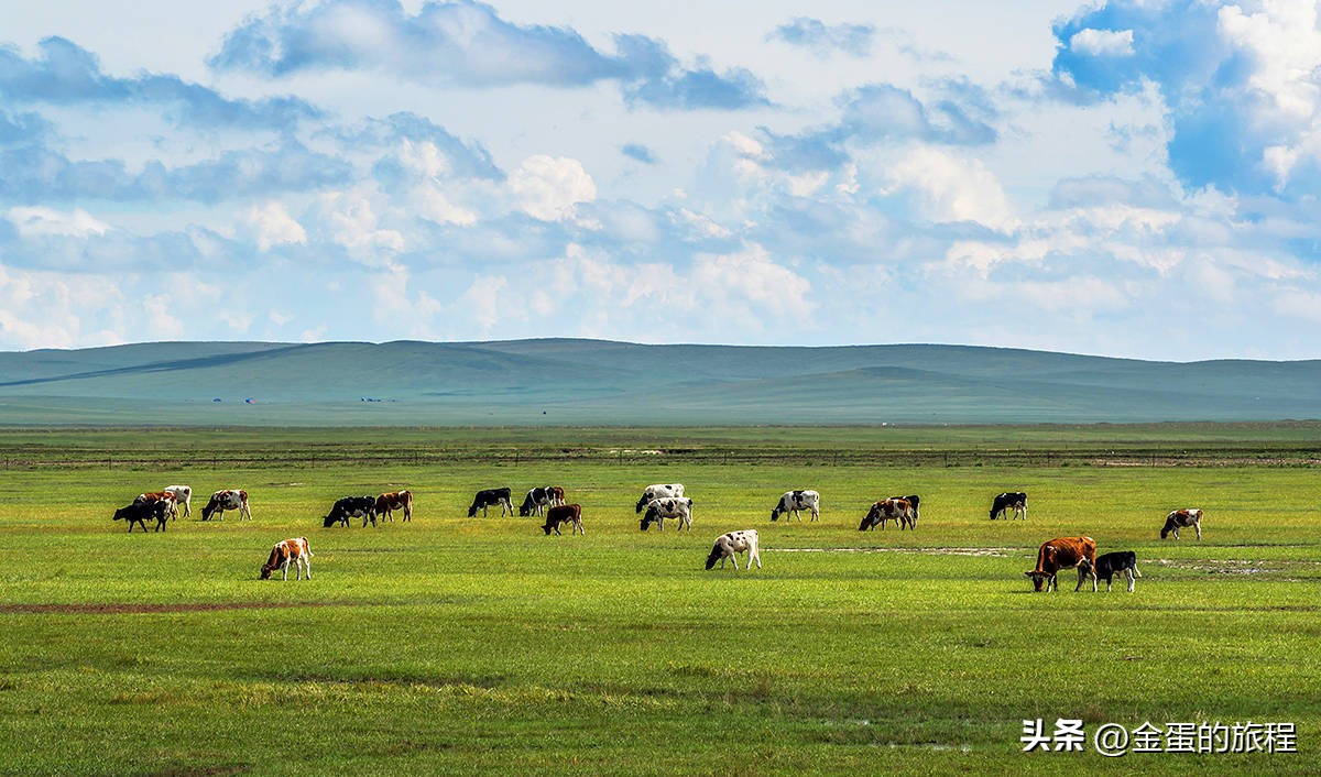 内蒙古呼伦贝尔大草原之上，额尔古纳河蜿蜒流淌，纯美的自然净土
