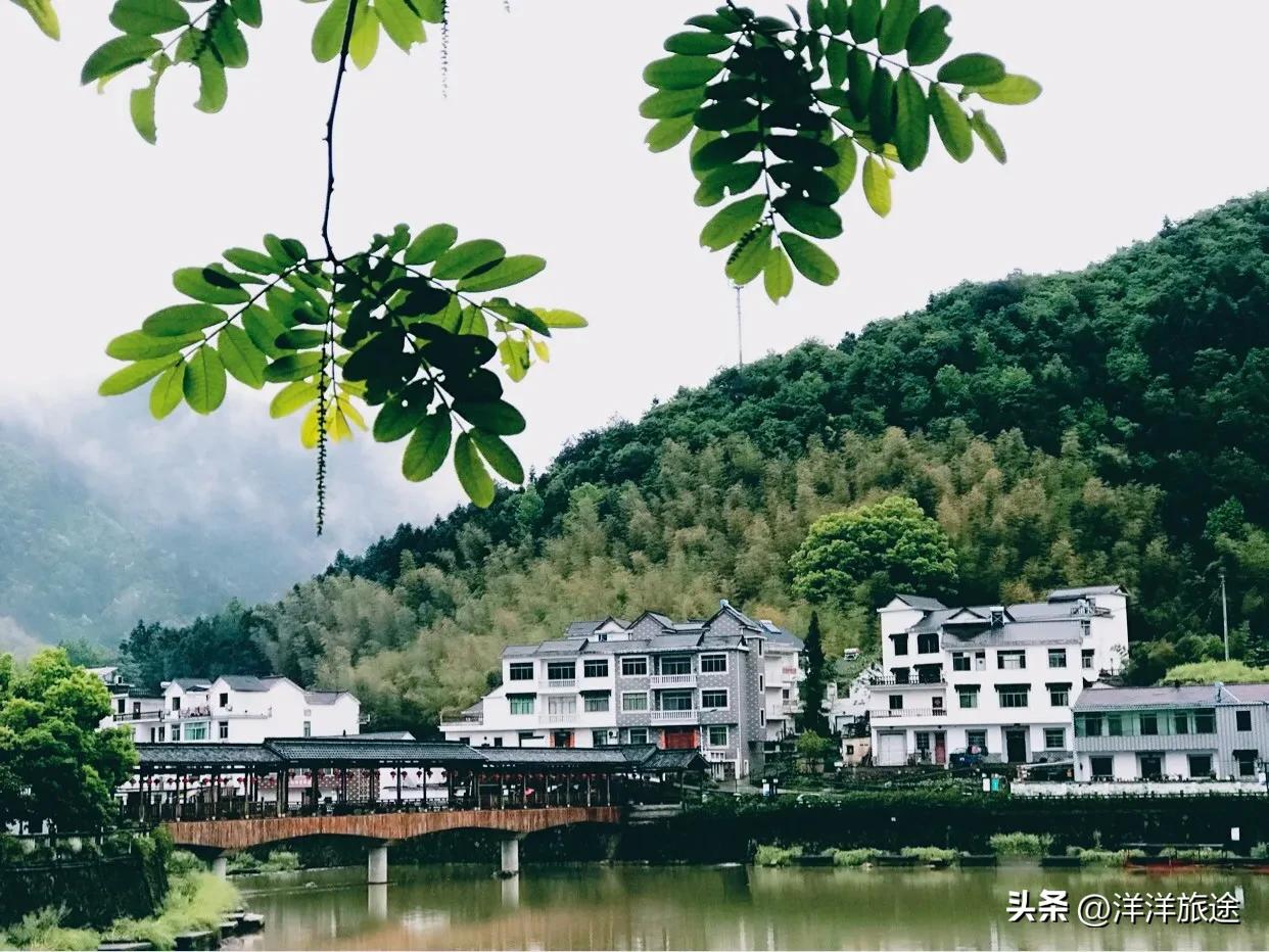 杭州下姜村景区旅游攻略，建议收藏备用