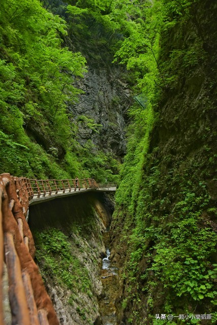 被誉为“中国最美的大峡谷”——金丝大峡谷