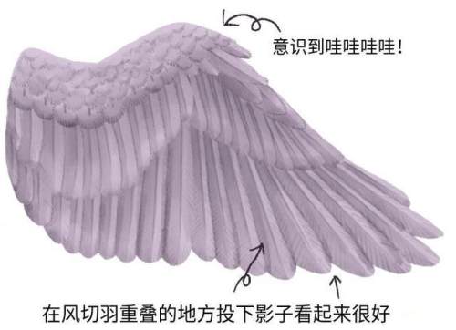 二次元天使翅膀怎么画？一看就会天使羽翼画法教学
